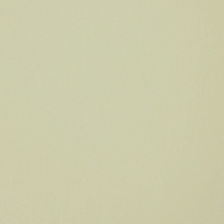 Fakro ARF rolgordijn (052) 48x78 cm